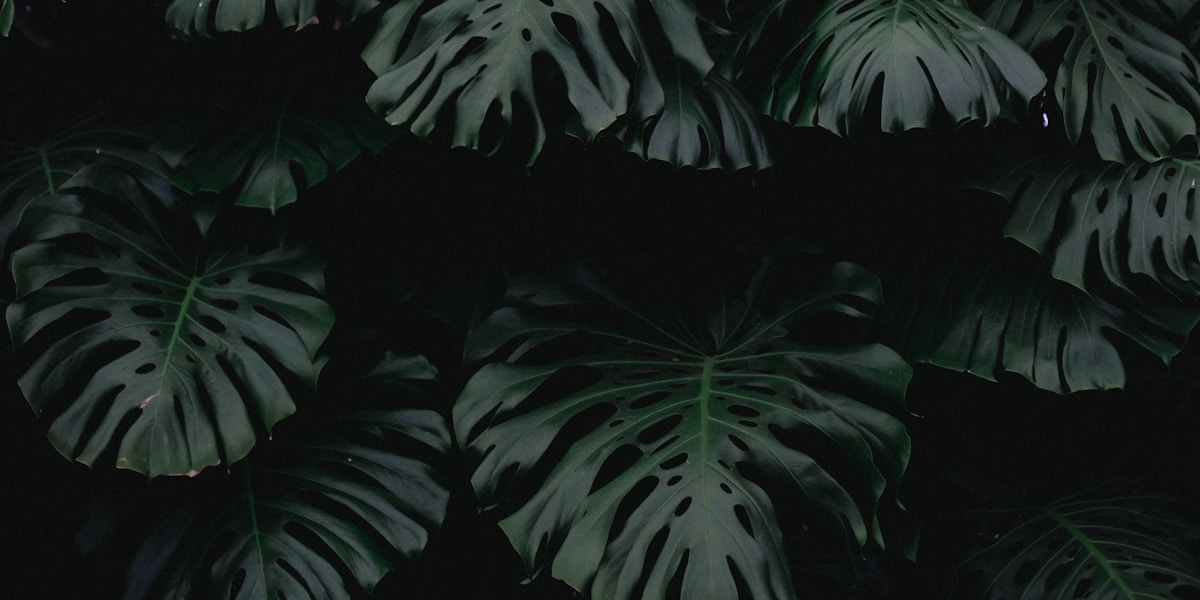 Multi-stop route planning for efficient road trips